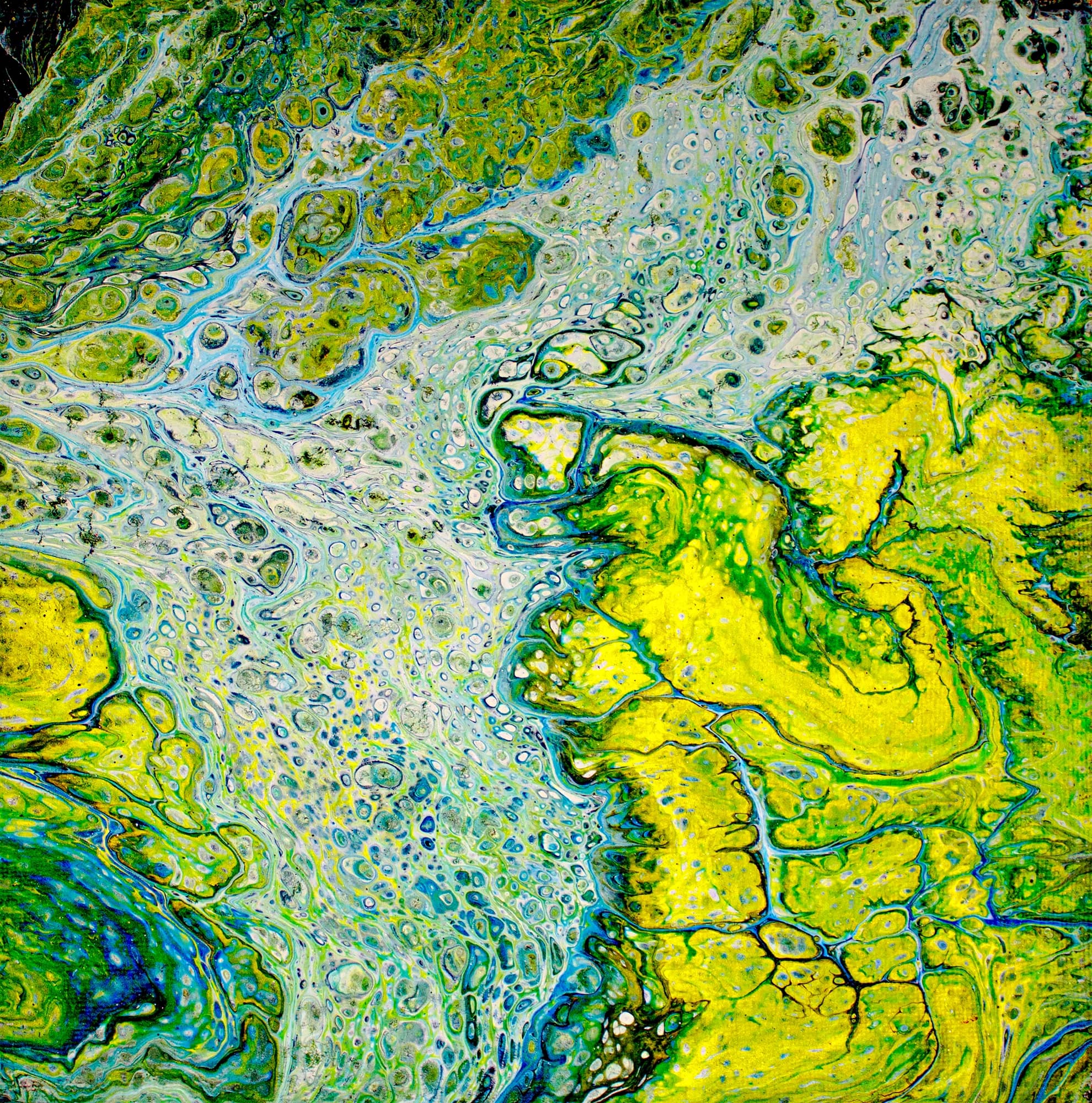 Chartreuse Cells, Acrylic Abstract collection