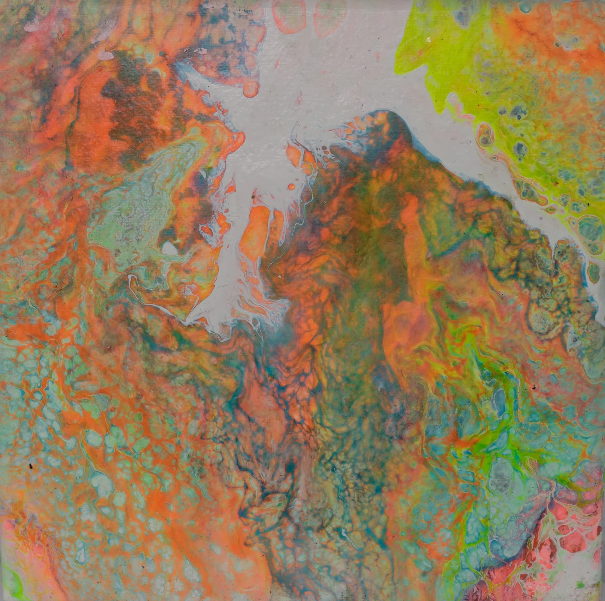 Coral Reef, Acrylic Abstract collection