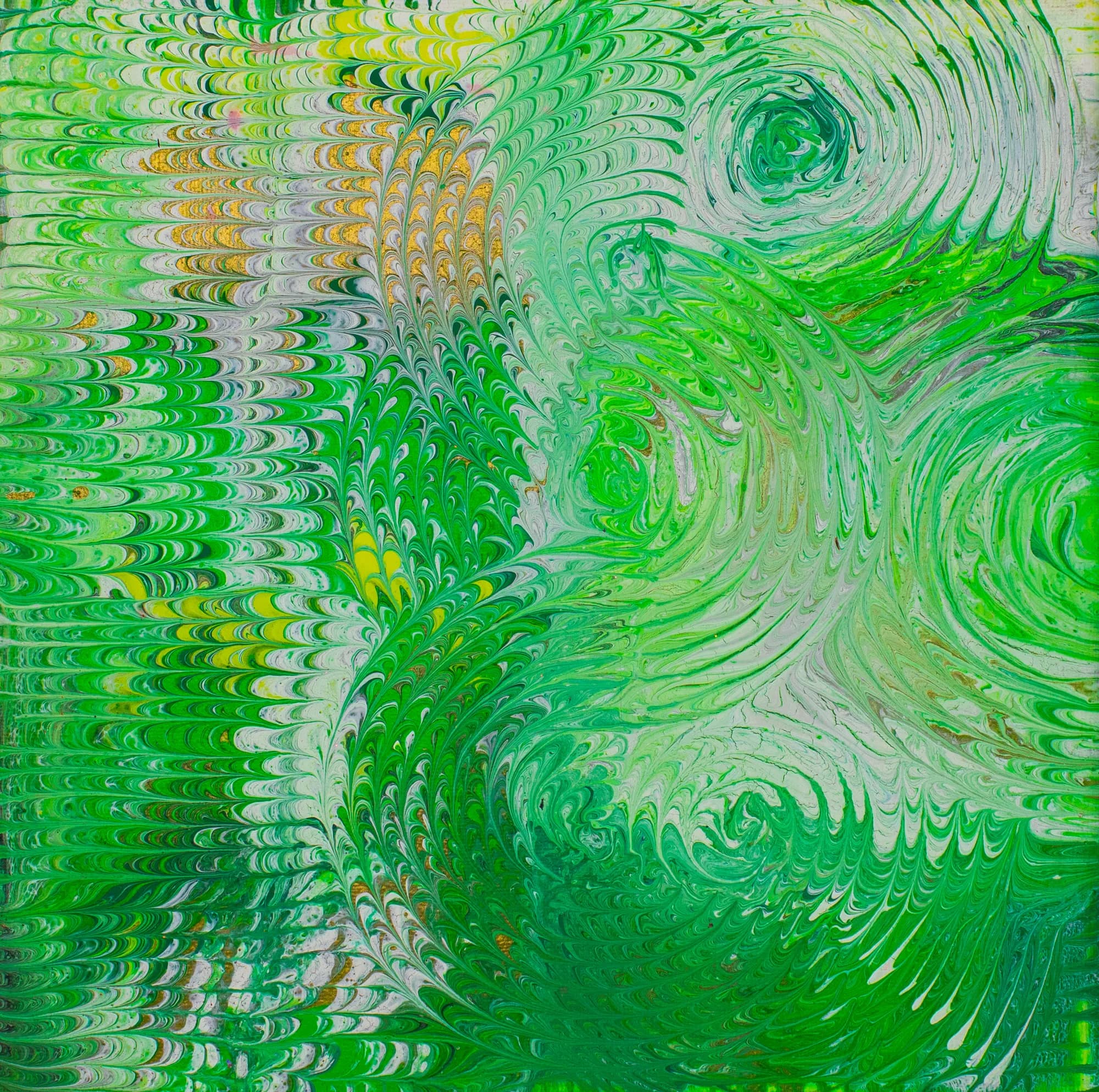 Lime Feather Spirals, Acrylic Abstract collection