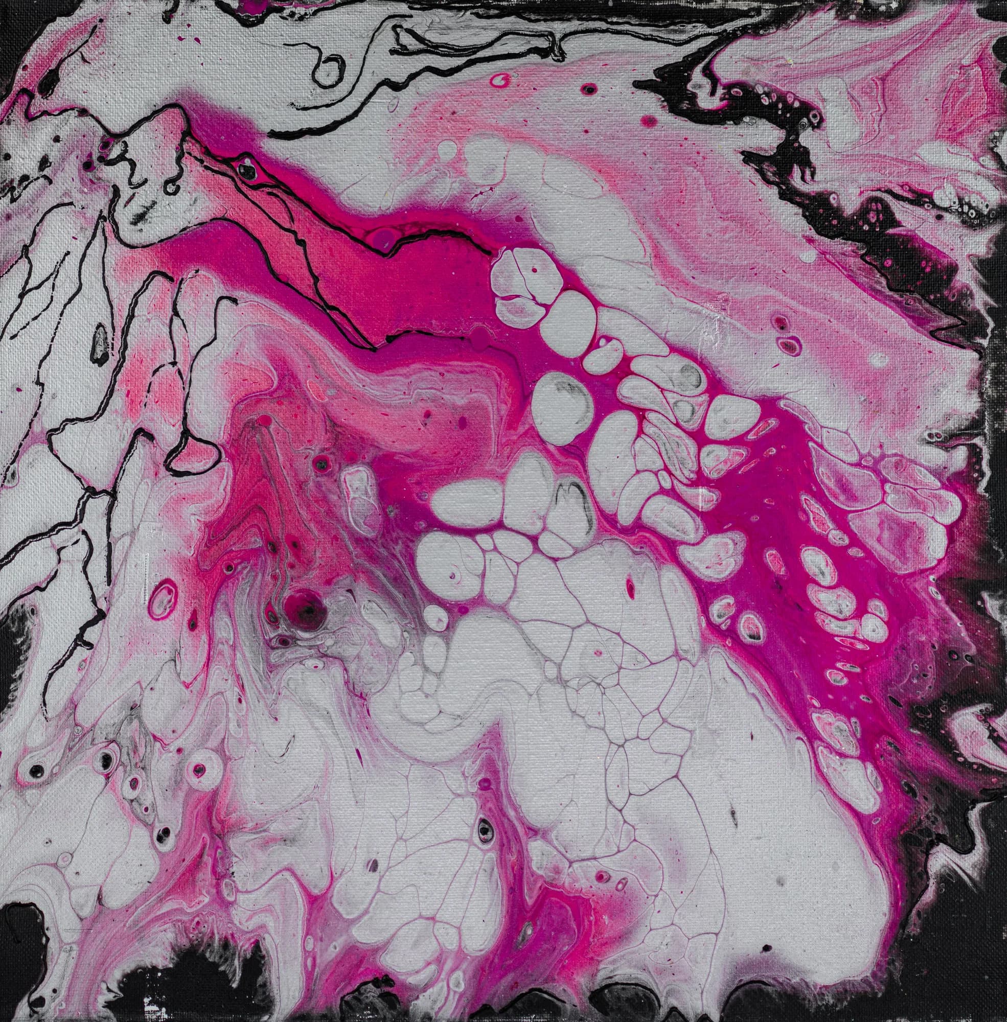 Magenta Cells, Acrylic Abstract collection