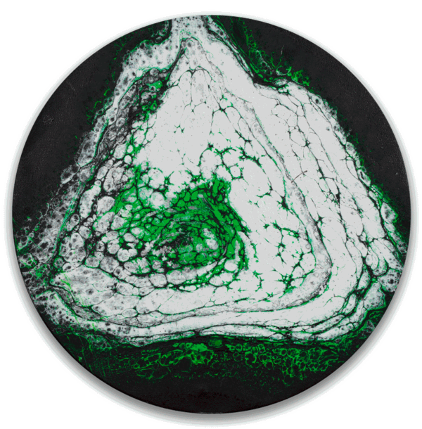 Electric Veins - Image 3