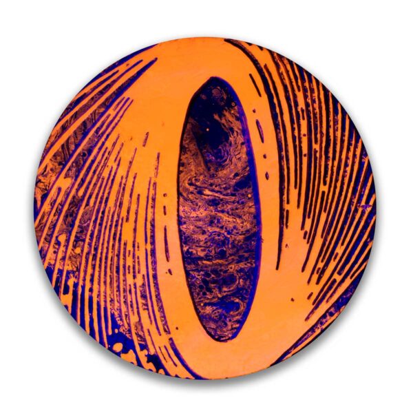 The Eye of the Storm - Image 2